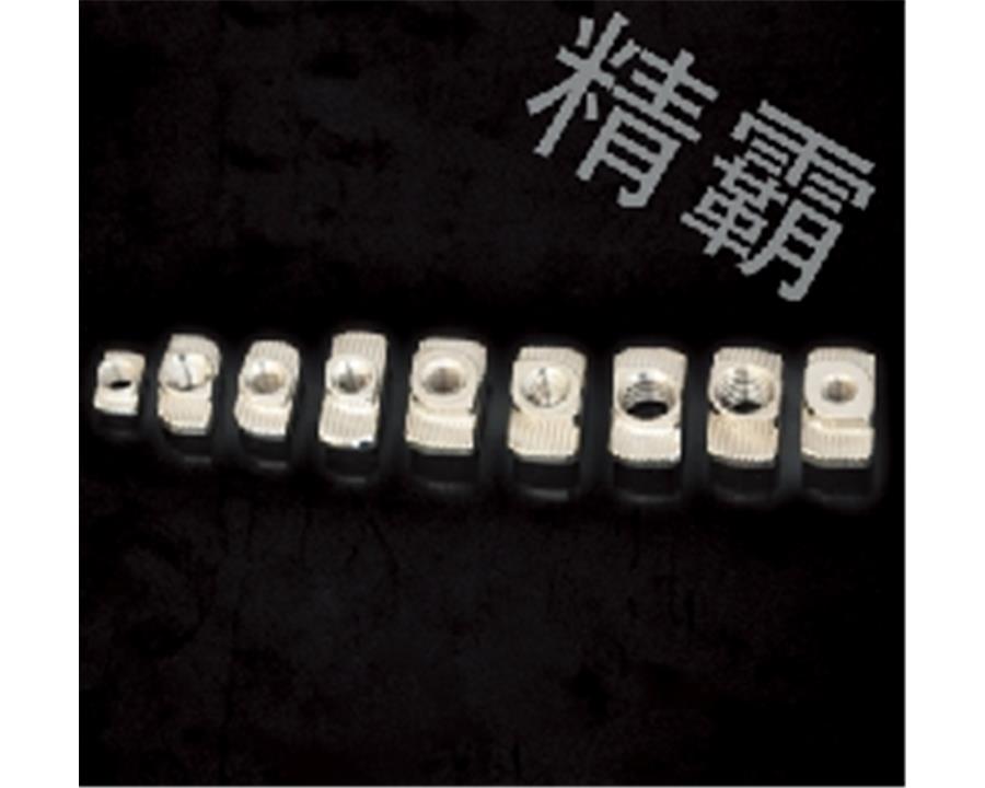 精霸-T型螺母塊